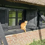 Apartamento Natuurhuisje Op Landgoed Groot Diermen *