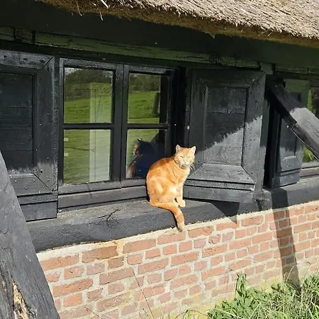 דירה Natuurhuisje Op Landgoed Groot Diermen *
