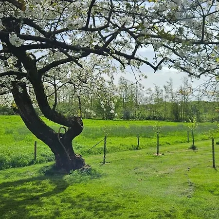 Apartamento Natuurhuisje Op Landgoed Groot Diermen Putten