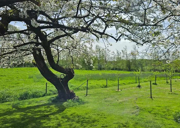 Apartament Natuurhuisje Op Landgoed Groot Diermen Putten