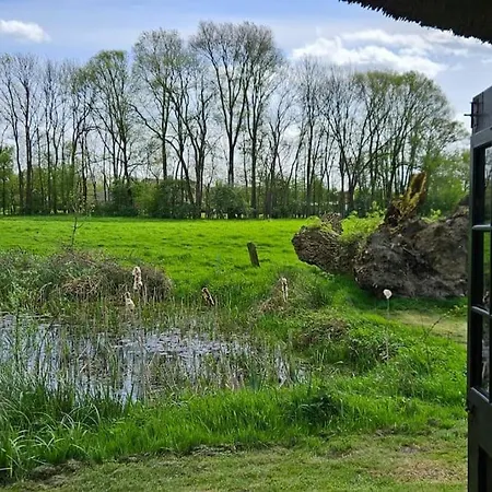 Апартаменты Natuurhuisje Op Landgoed Groot Diermen Пюттен