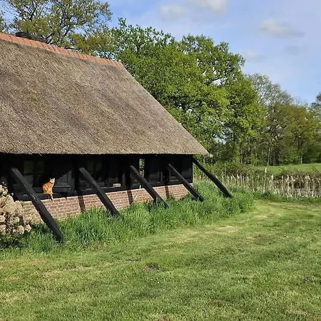 Natuurhuisje Op Landgoed Groot Diermen * Пюттен