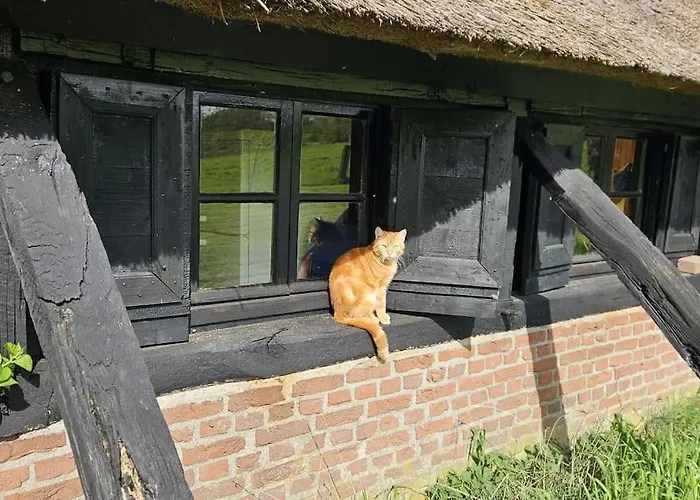 Appartamento Natuurhuisje Op Landgoed Groot Diermen *